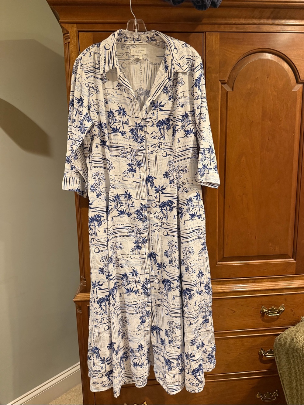 Blue & White Tropical Print Button-Front Maxi Dress